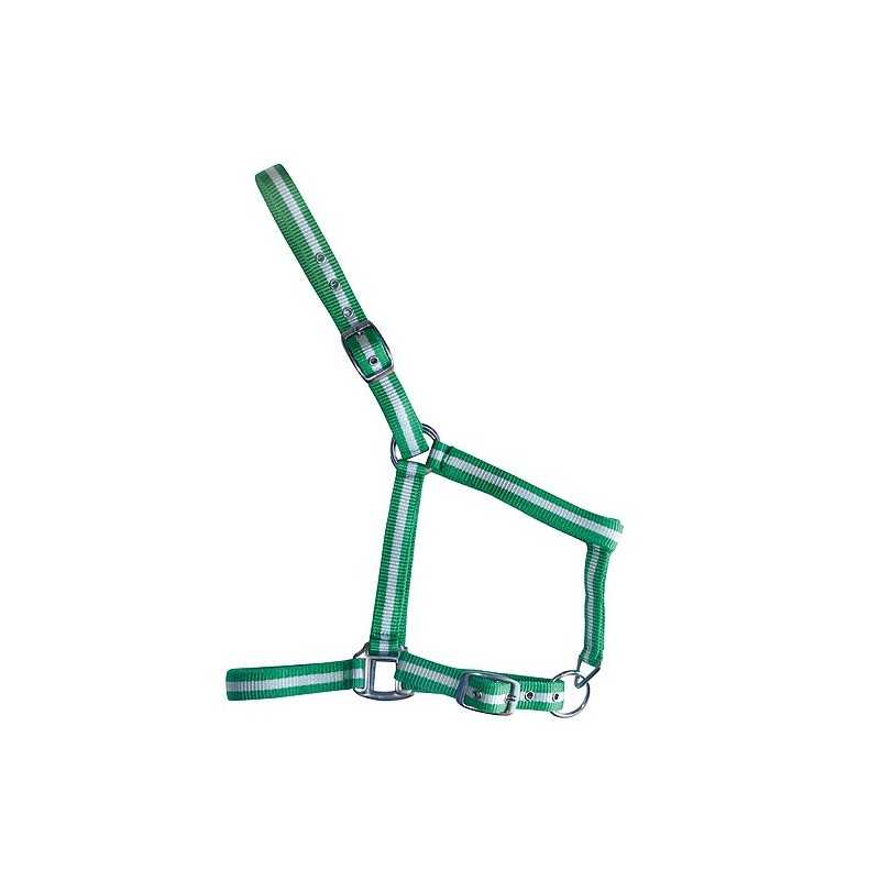 Cabresto verde com listas brancas para animais