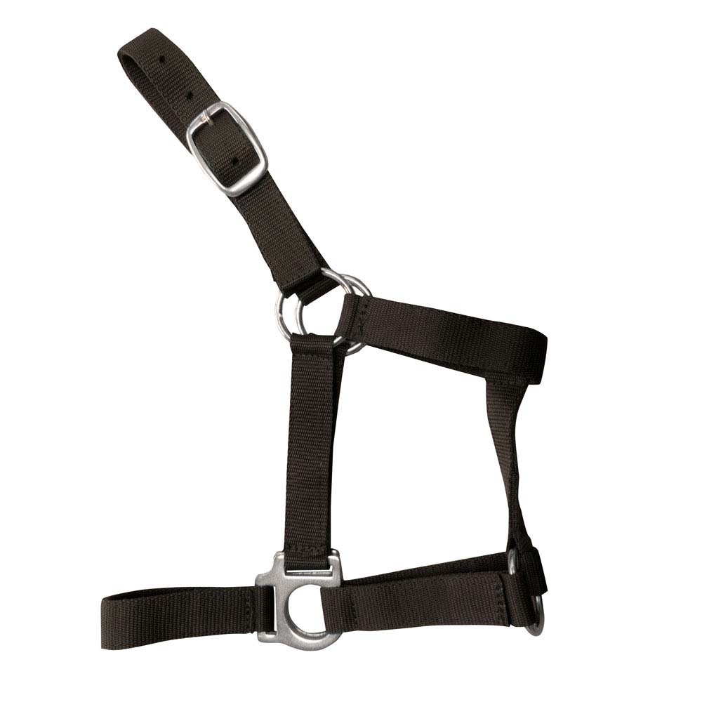 Cabresto preto de nylon com fivela e argolas metálicas