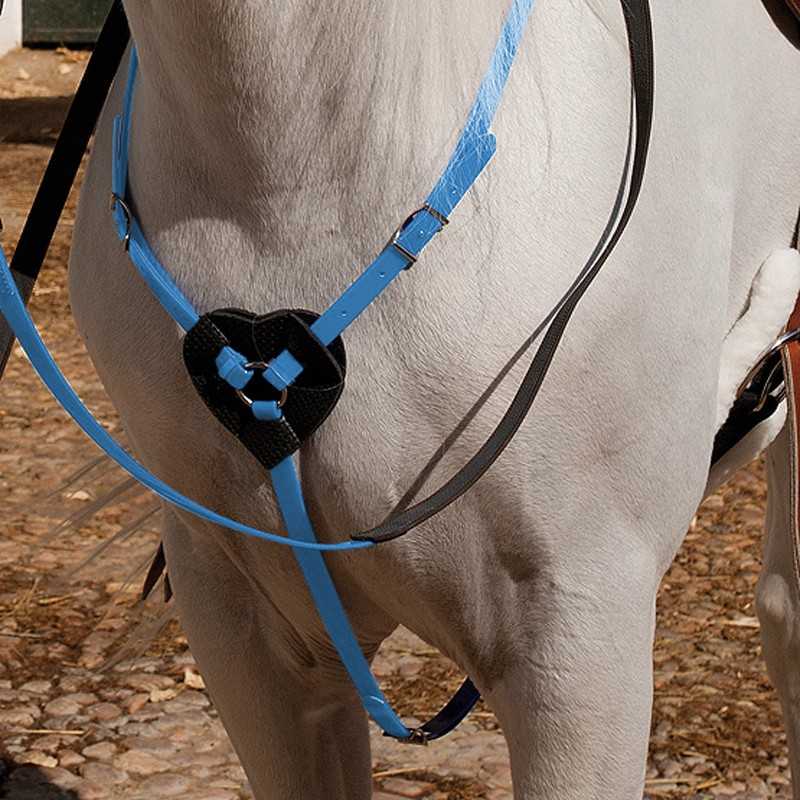 Arreio azul e preto com coração no peito de cavalo branco