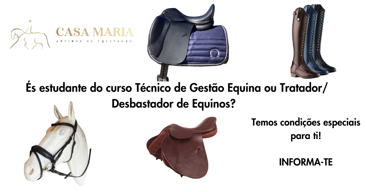 Anúncio da Casa Maria com selas, botas e cabresto para equitação
