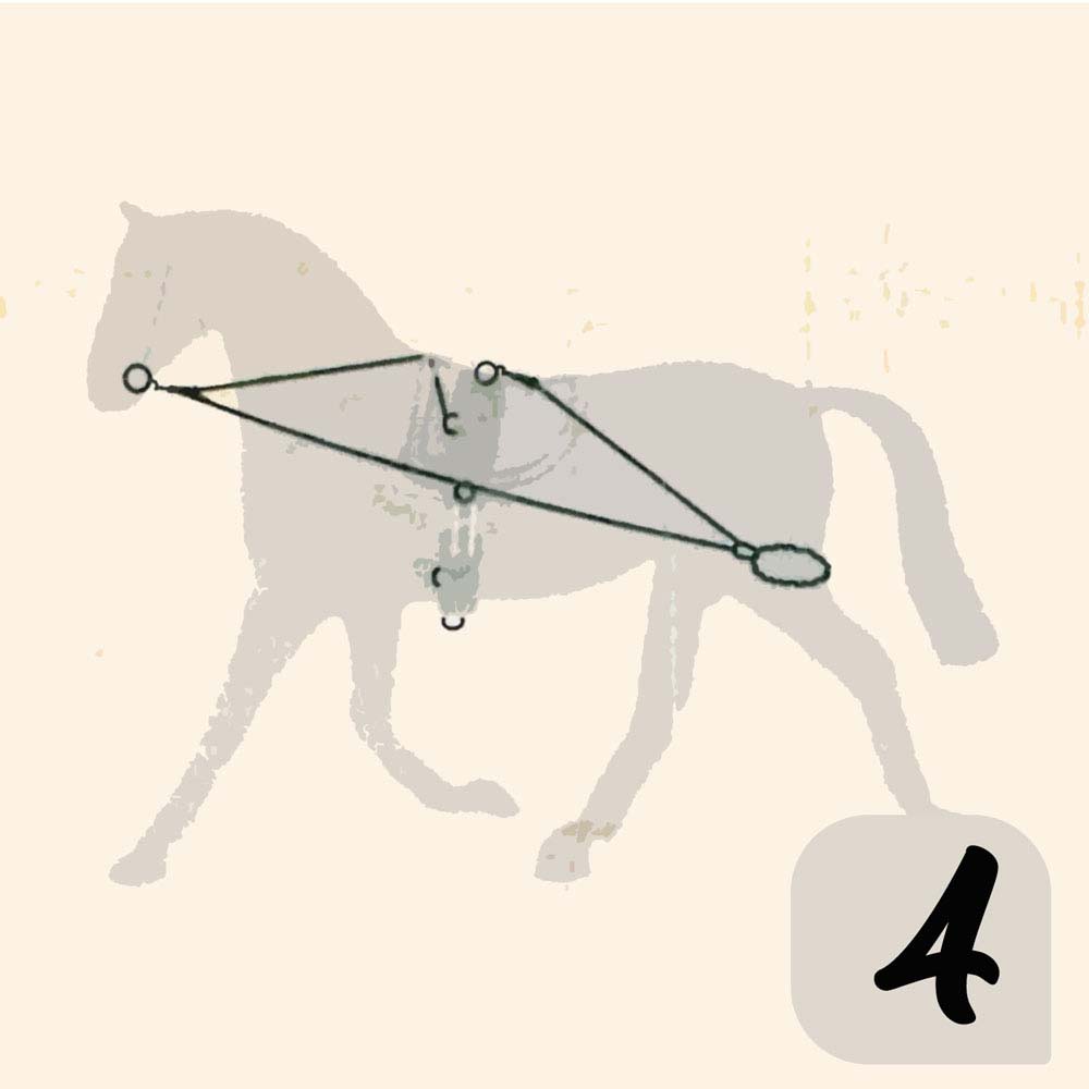 Ilustração de cavalo cinza com linhas pretas sobre corpo e número 4 no canto inferior direito.