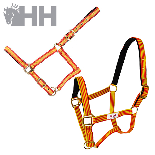 Dois cabrestos coloridos para cavalo com padrão riscado e fivelas douradas