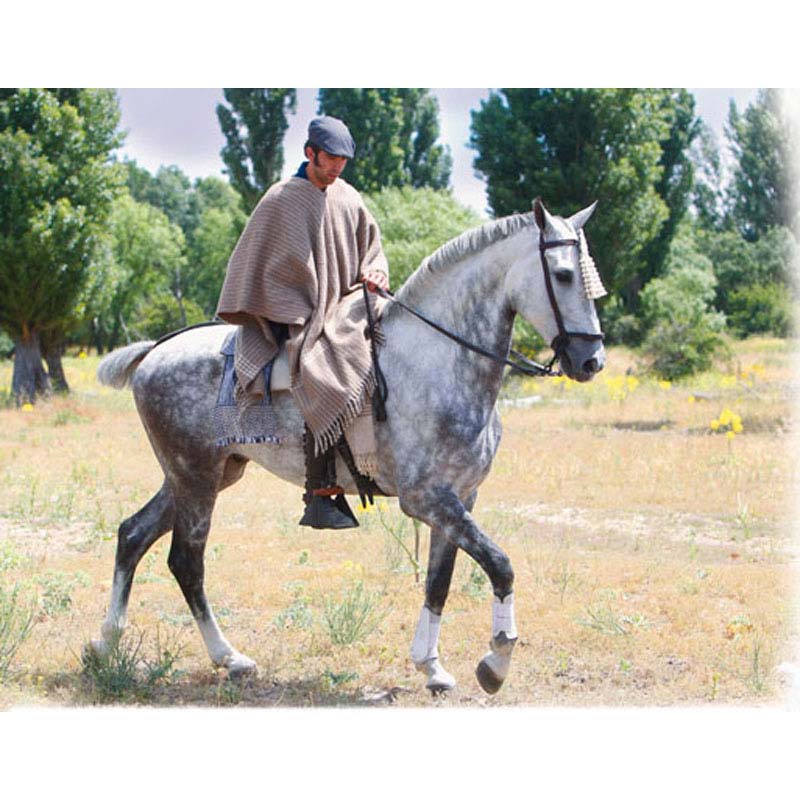Homem vestido com capa e boina montado em cavalo cinzento em campo aberto