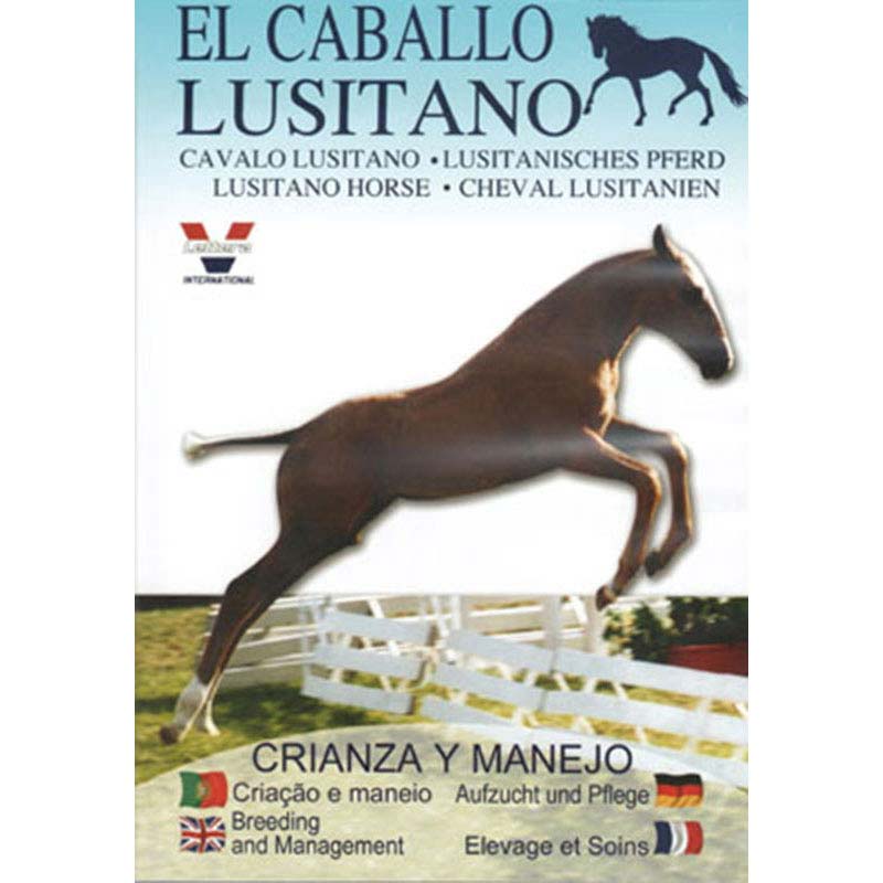 Capa de livro sobre cavalo lusitano com cavalo saltando vedação branca