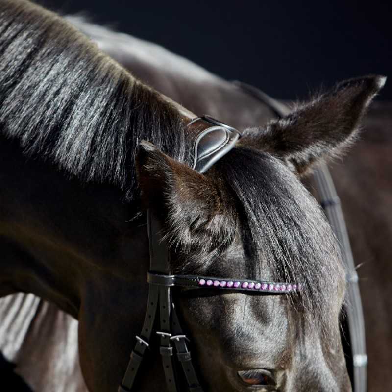 Cabeça de cavalo preto com cabedal preto e faixa decorativa cor-de-rosa