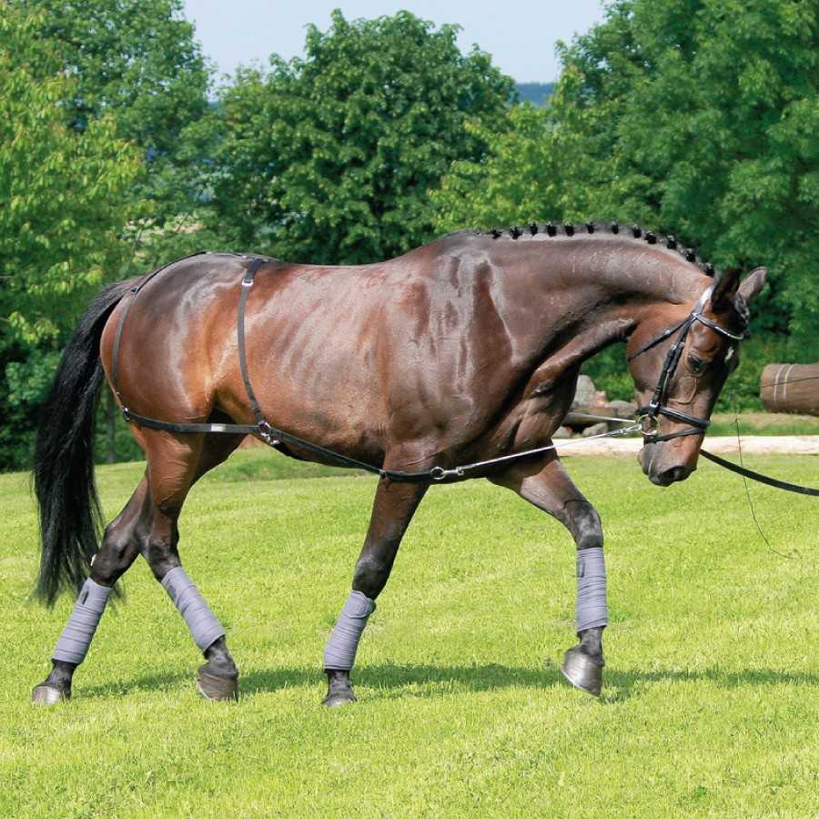 Cavalo castanho com arreios e vendas nas patas numa área verde