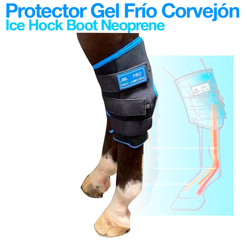 Protetor Gel Frio para corvejão de cavalo em neopreno preto com detalhes azuis