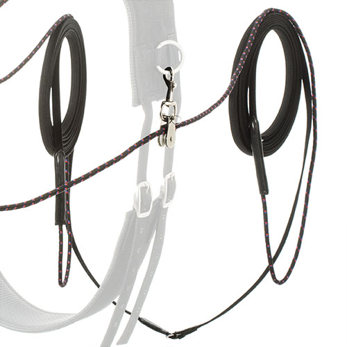 Coleira e trela para cães preta e vermelha com fecho metálico