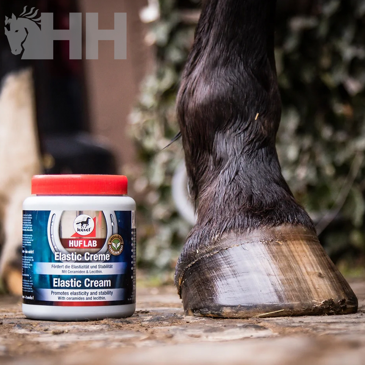 Frasco de creme elástico HufLab ao lado do casco de um cavalo castanho