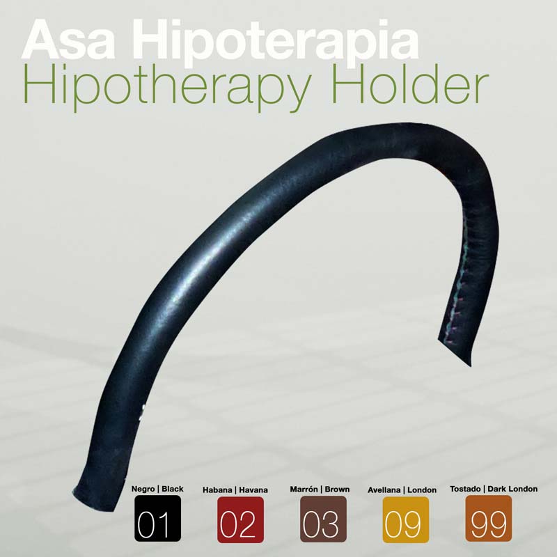 Suporte para hipoterapia em asa de cor preta em fundo cinza com texto e opções de cores.