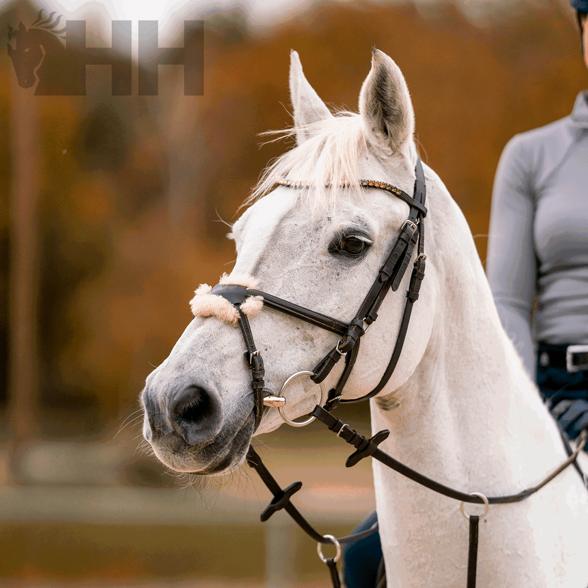 Cavalo branco com peitoral de couro preto e pelúcia, montado por pessoa com camisa cinzenta
