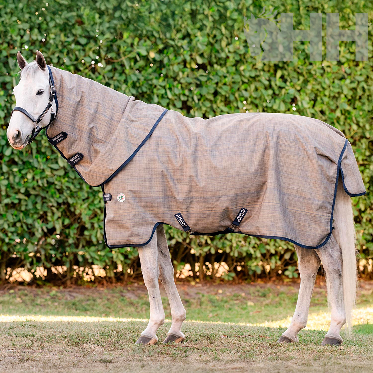 Cavalo branco com manta bege riscada de giz e cintas pretas AMIGO HORSEWARE IRELAND