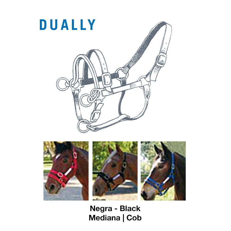Cabresto de cavalo Dually em três cores com fivelas metalizadas