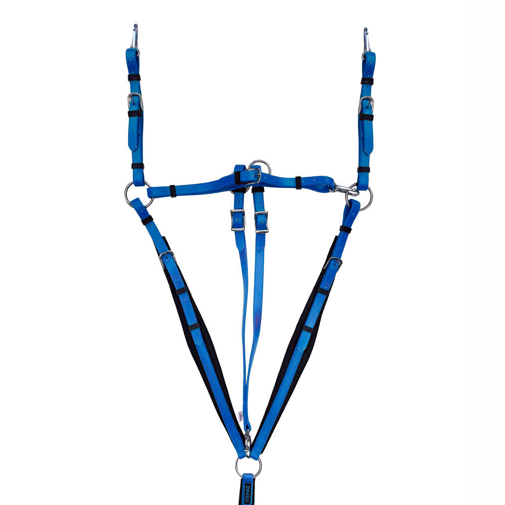 Cabresto azul com ferragens metálicas e detalhes pretos