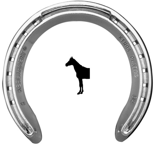 ferradura metálica prateada com textos gravados e silhueta de cavalo