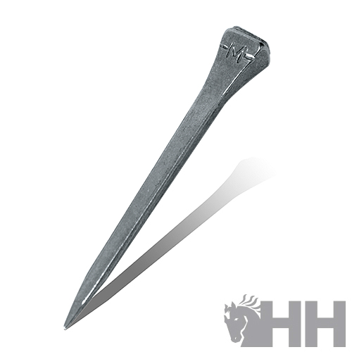 Prego metálico com marca HH