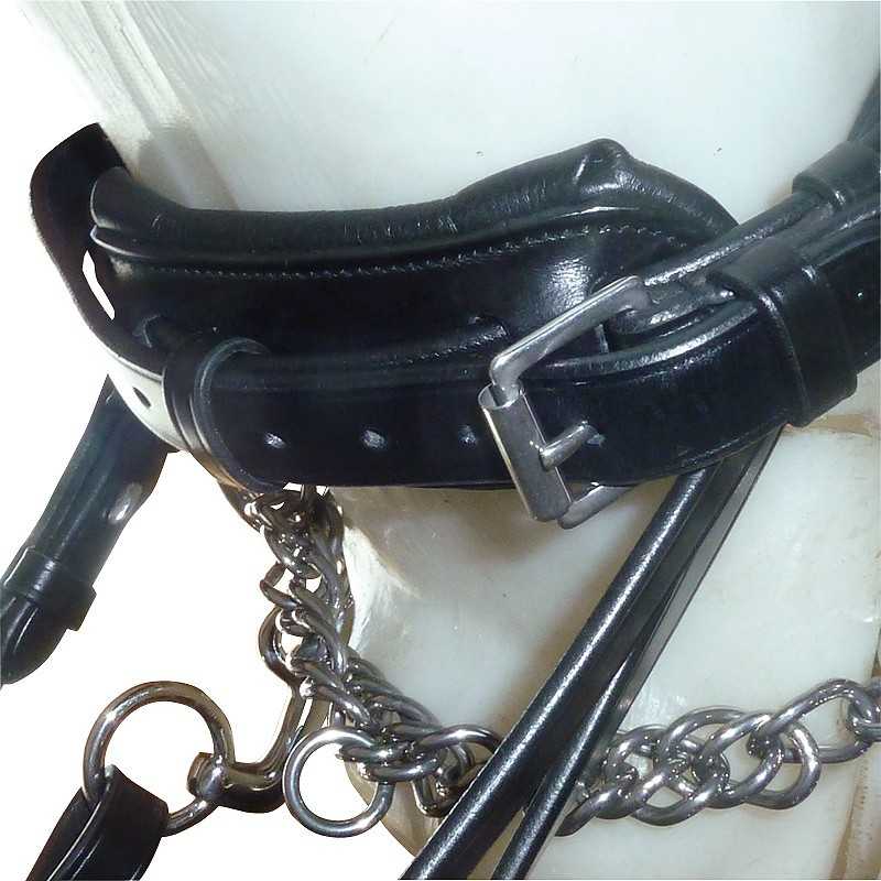 Coleira preta de couro com fivela e corrente metálica, fundo branco