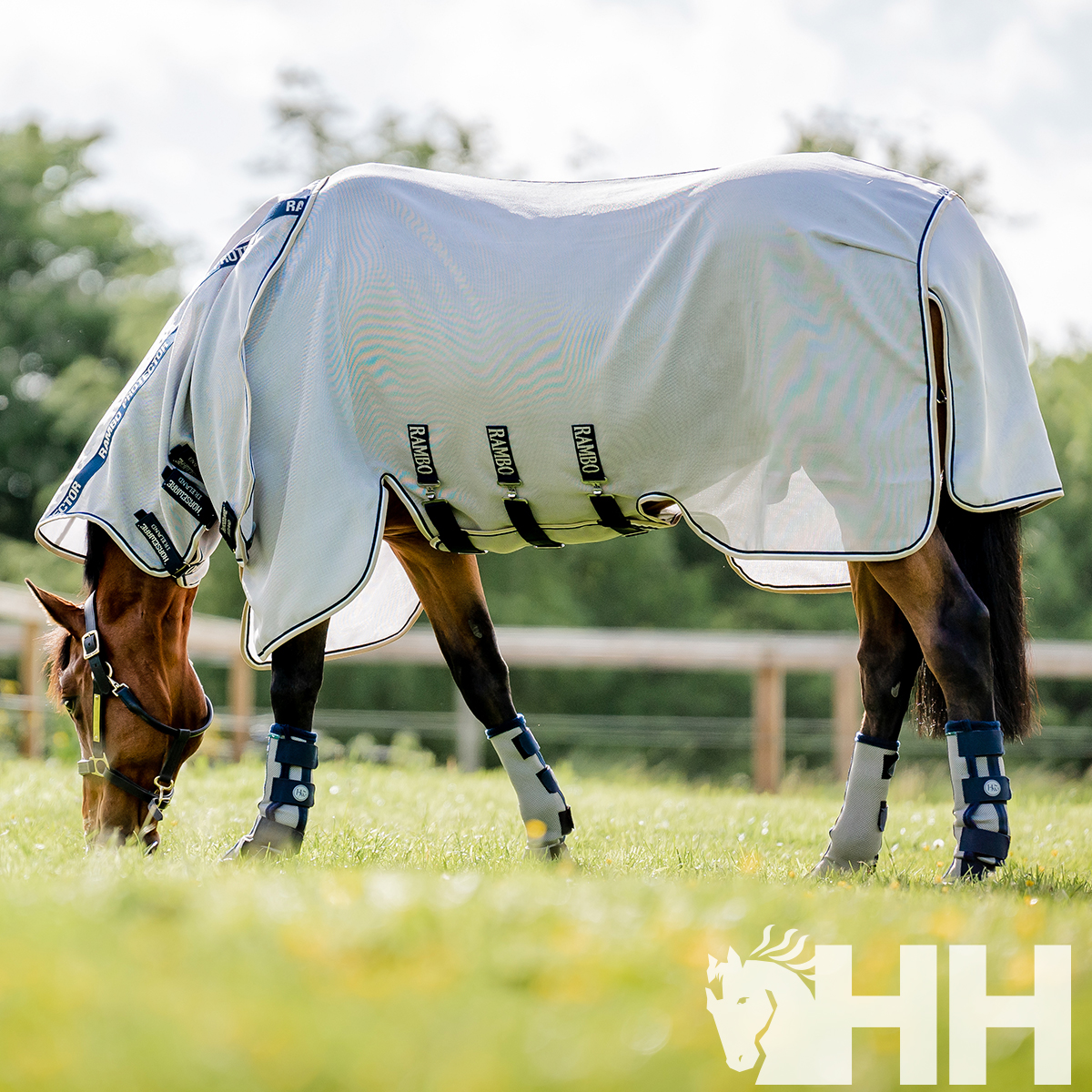 Cavalo com manta cinza e proteções azuis a pastar no campo
