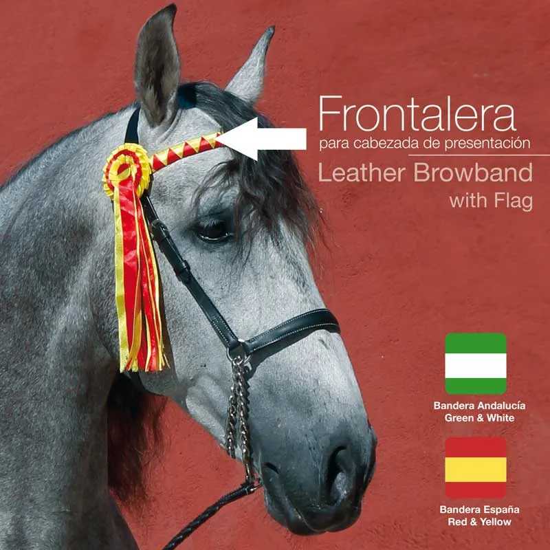 Cavalo cinzento com uma frontalera preta de couro e fita amarela e vermelha, texto e bandeiras ao lado