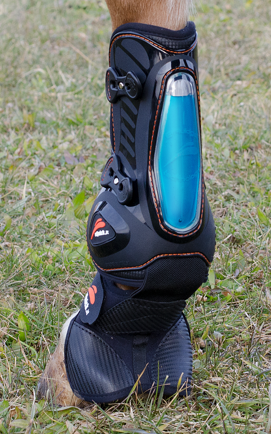 Protetor para perna de cavalo preto com detalhe azul translúcido e fivelas, em relva