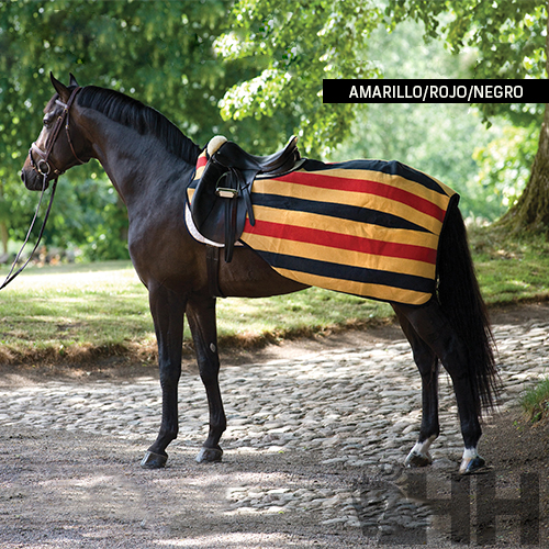 Cavalo preto com manta às riscas e selim de montar em caminho com árvores
