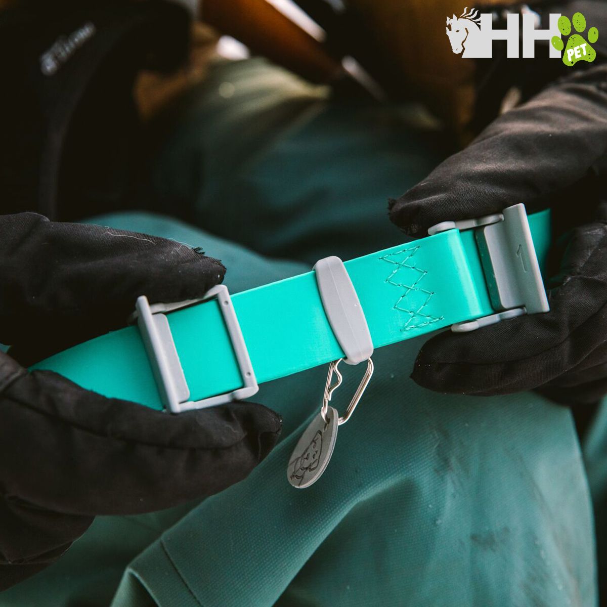 Coleira turquesa para cão com fivela cinzenta e pendente em forma de osso
