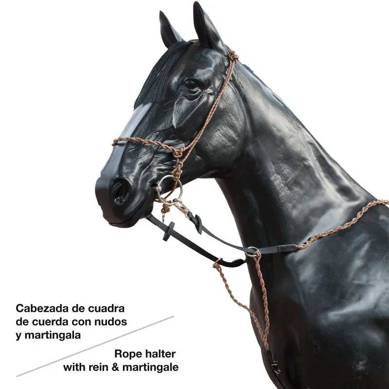 Cavalo preto com cabeçada de corda e martingala castanha