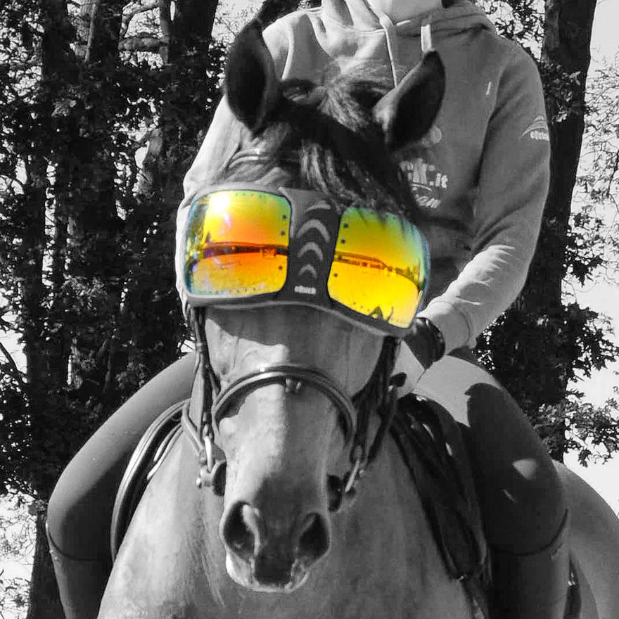 Cavalo com óculos refletivos amarelos e laranja e pessoa vestindo hoodie cinza montada