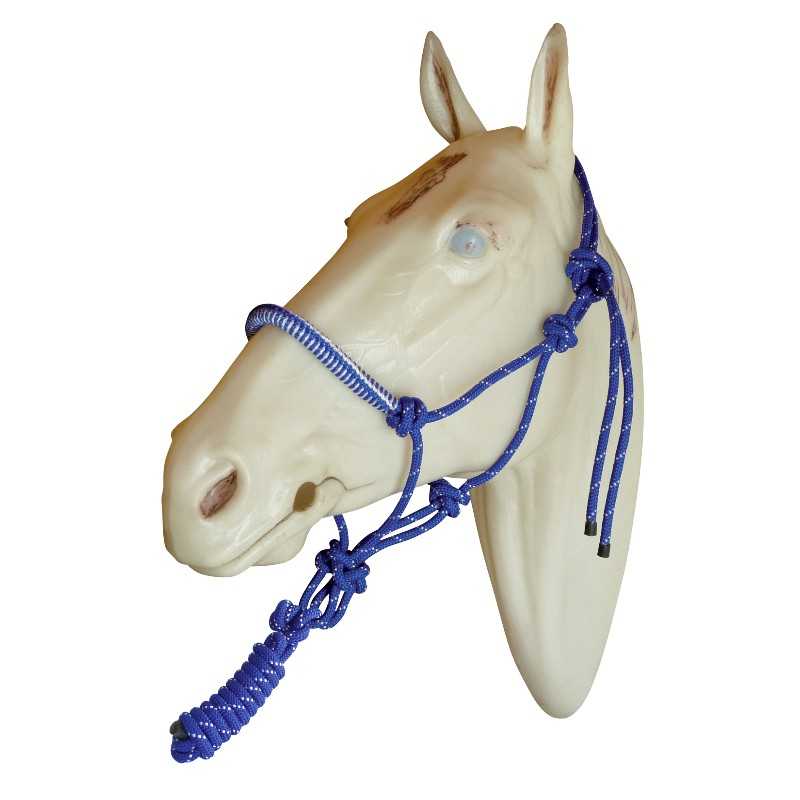 Cabeça de cavalo branco com cabresto azul em corda