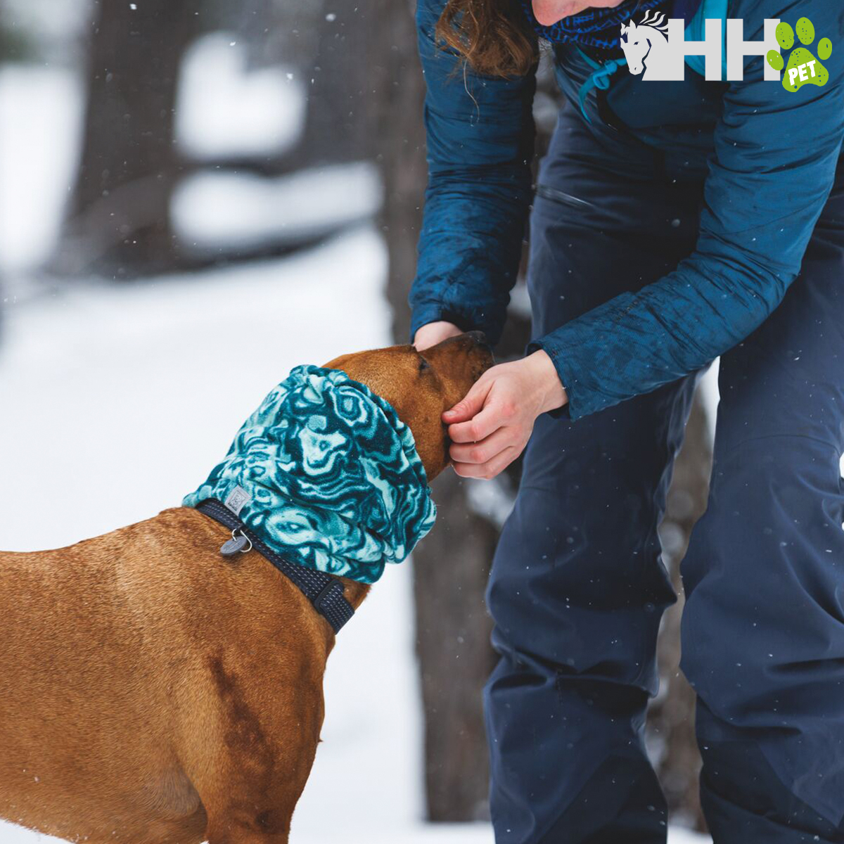 Cão castanho com cachecol polar azul e pessoa a acariciá-lo na neve