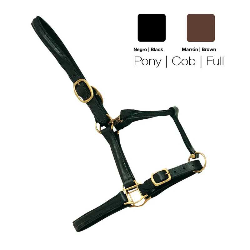 Cabresto para cavalo em pele preta com fivelas douradas