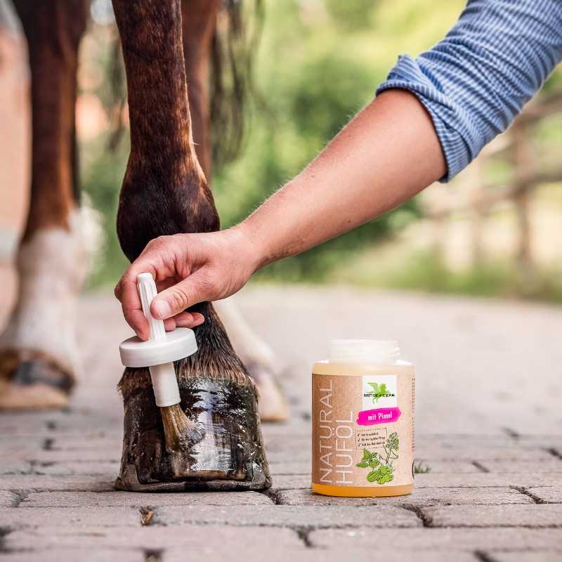 Aplicação de produto NATURAL HUFOL na pata de um cavalo com pincel