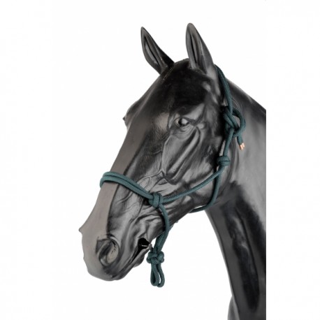Cavalo preto com cabresto verde de corda na cabeça