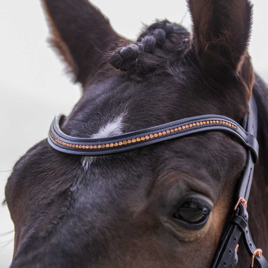 Cabeça de cavalo castanho com cabeçada preta detalhes cobre