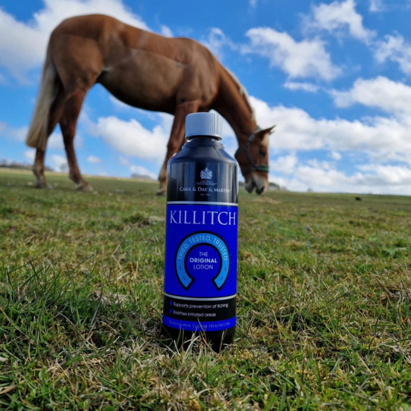 Frasco azul KILLITCH THE ORIGINAL LOTION na relva com cavalo castanho ao fundo