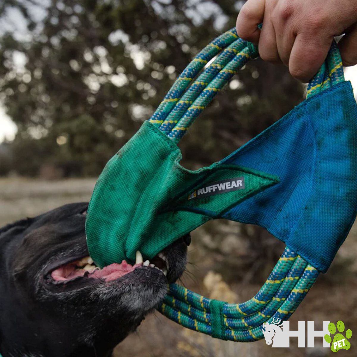 Brinquedo de corda azul e verde para cães da marca RUFFWEAR