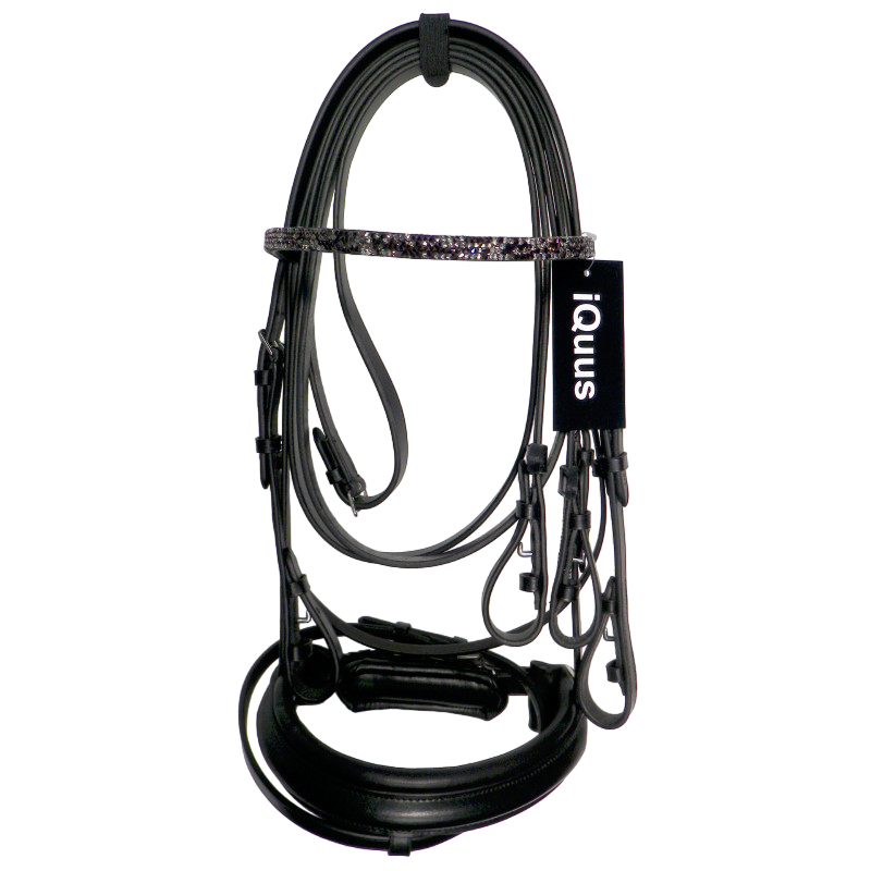 Bridão de cavalo preto com ponteira brilhante e etiqueta iQuus