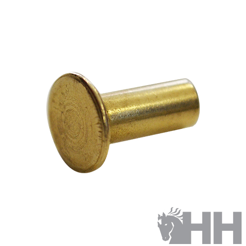 Parafuso dourado com cabeça arredondada em fundo branco