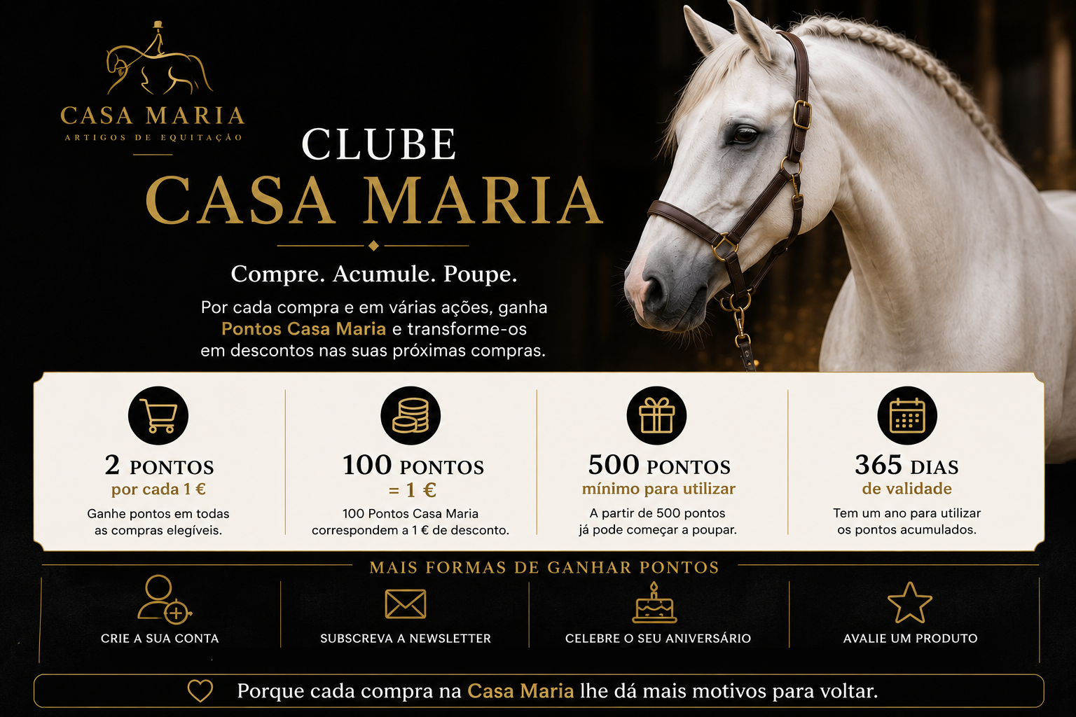 Imagem promocional do Clube Casa Maria com um cavalo branco com arreios castanhos