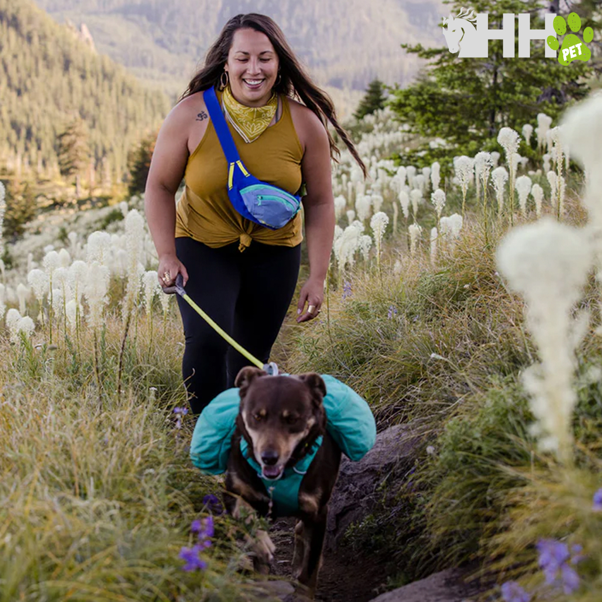 Mulher a caminhar trilha com cão com colete verde em área campestre
