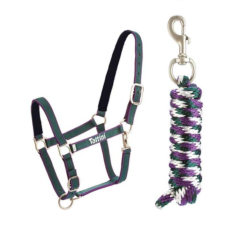 Conjunto cabresto e corda para animais tons verde, roxo e preto com metais prateados e texto Tattini