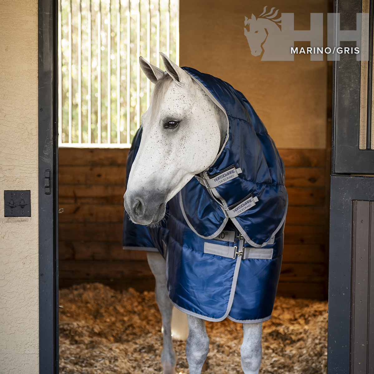 Cavalo branco com roupa de inverno azul marinho e cinza na entrada de um estábulo