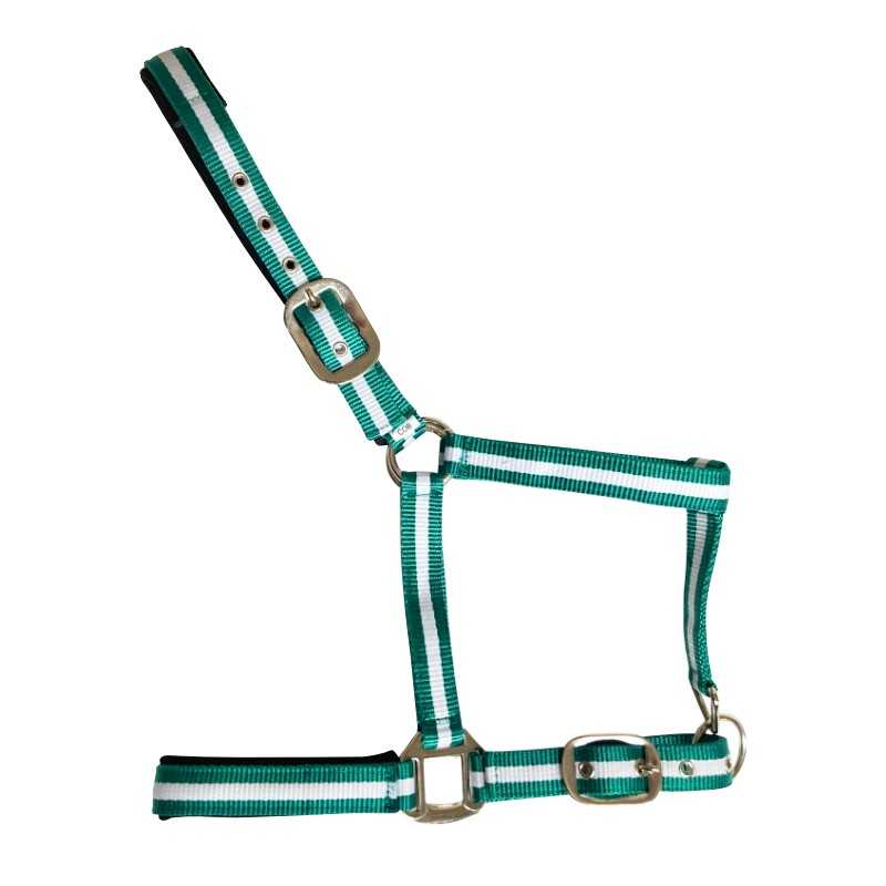 Cabresto para cavalo verde e branco com fivelas metálicas