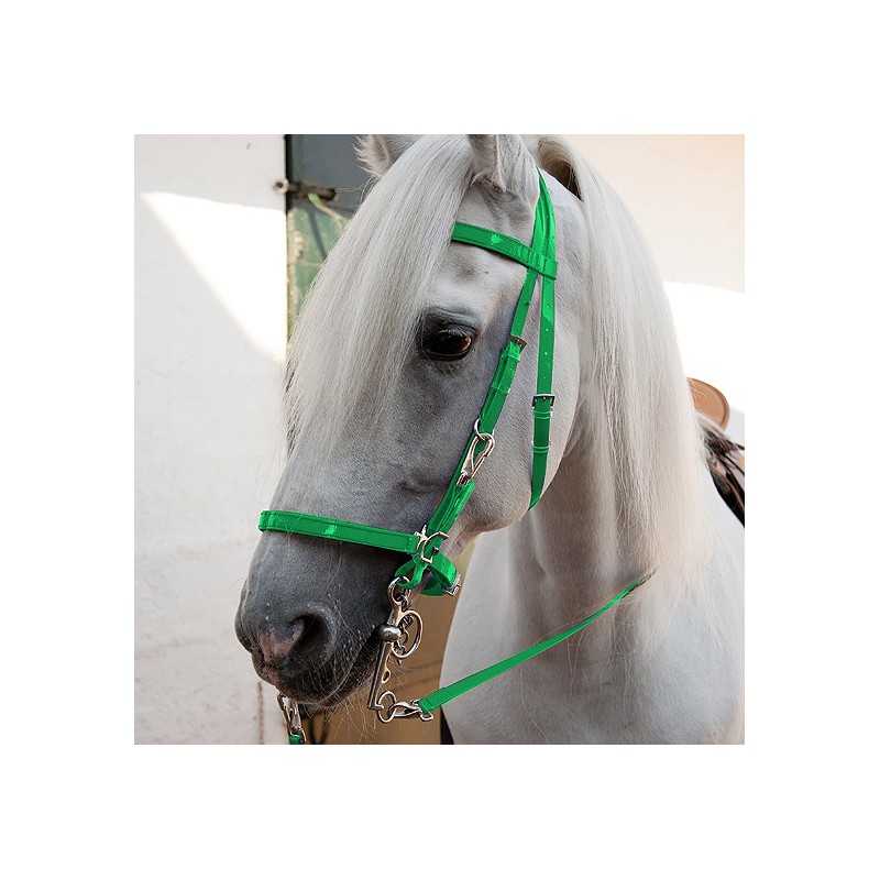 Cavalo branco com cabeçada verde de nylon
