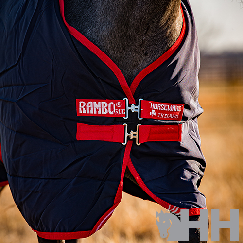 Manta para cavalo azul escuro com bordas vermelhas e fechos metálicos