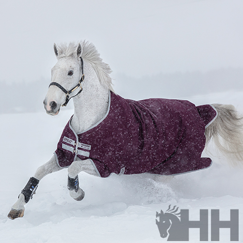 Cavalo branco a correr na neve com manta de proteção roxa escura e proteções nas patas