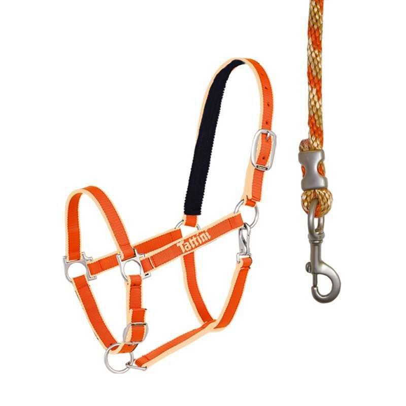 Cabresto laranja para cavalo com cabresto de cabo trançado colorido
