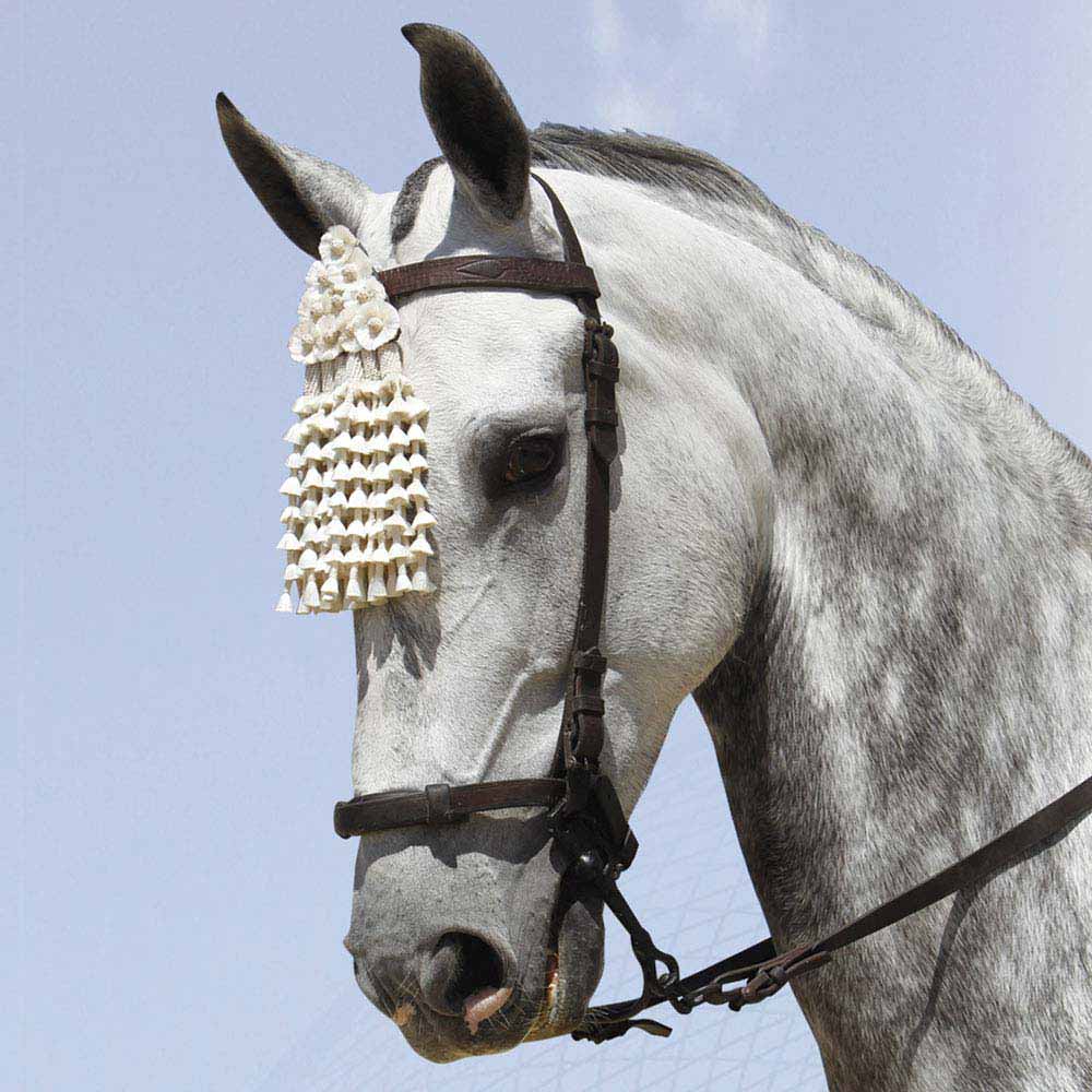 Cavalo cinzento com cabresto e pendente decorativo