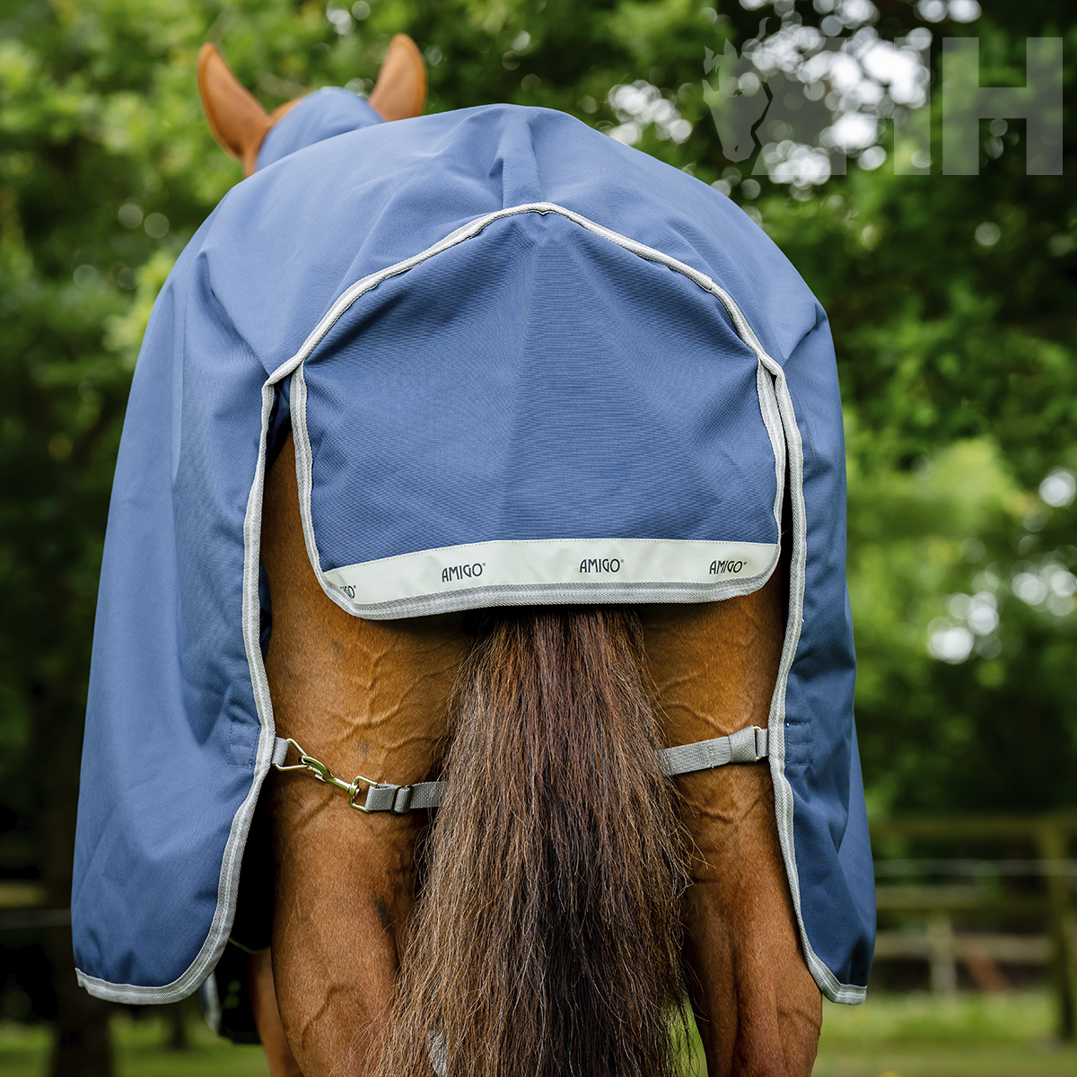 Cobertor azul para cavalo com detalhes cinzentos e texto AMIGO na faixa traseira refletora.