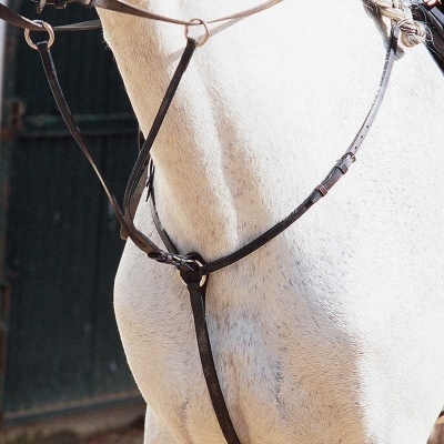 Cavalo branco com arreios de couro castanho escuro